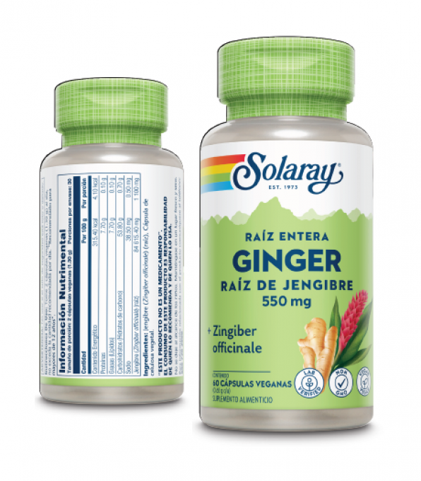 Ginger Raíz de Jengibre (Zingiber officinale)